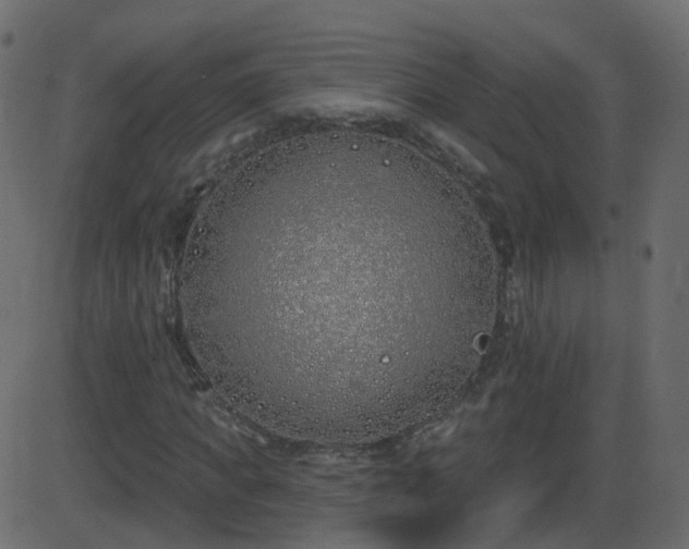 X0000086270917200704051305