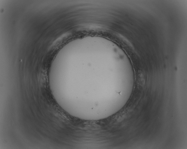 X0000086270918200704051305