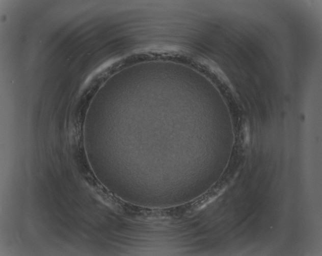 X0000086270920200704051305