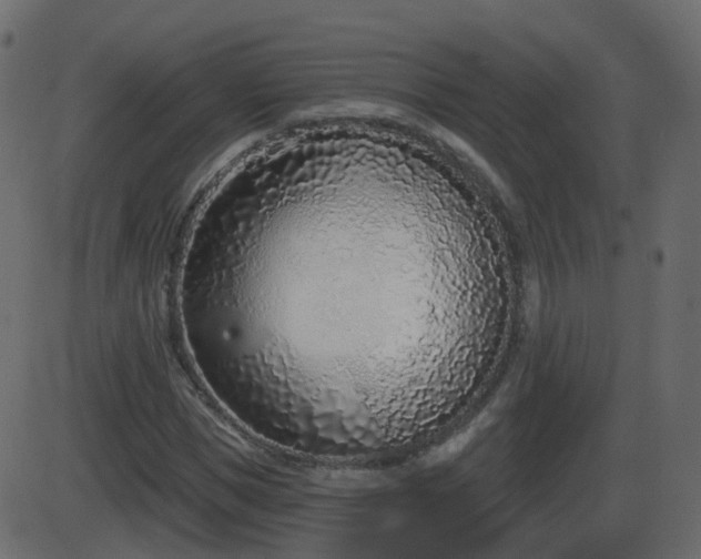 X0000086270921200704051305