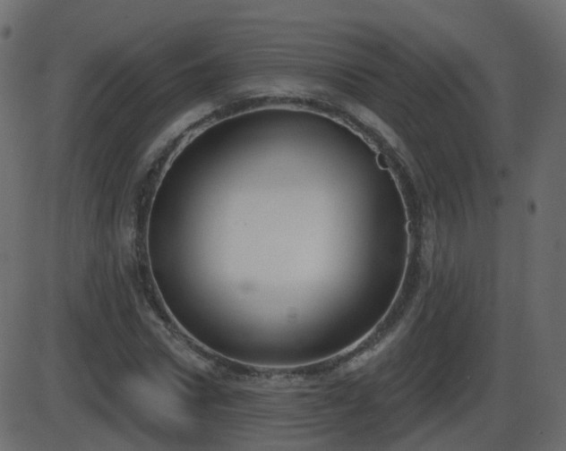 X0000086270922200704051305