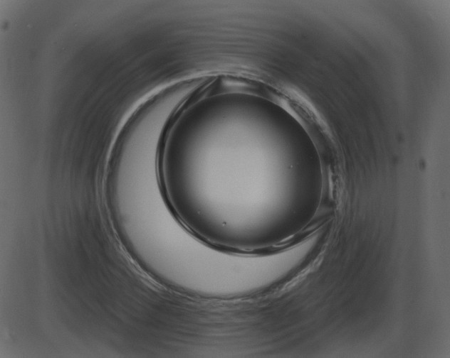 X0000086270924200704051305