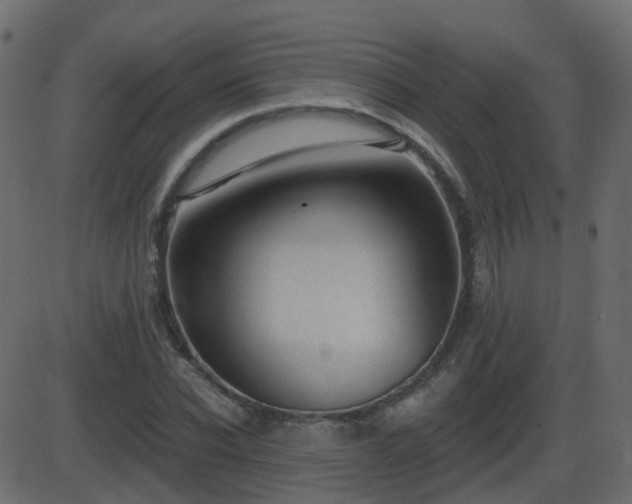 X0000086270926200704051305