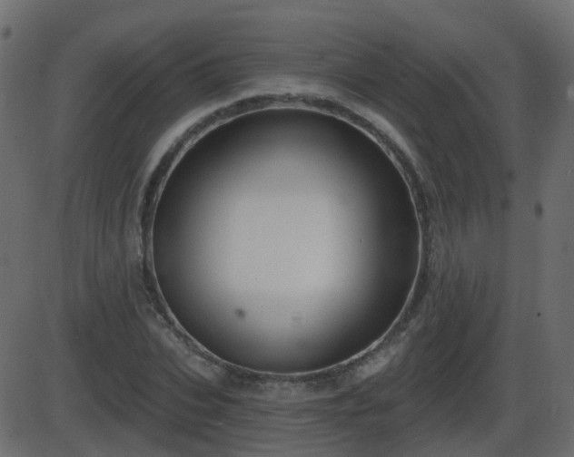 X0000086270927200704051305