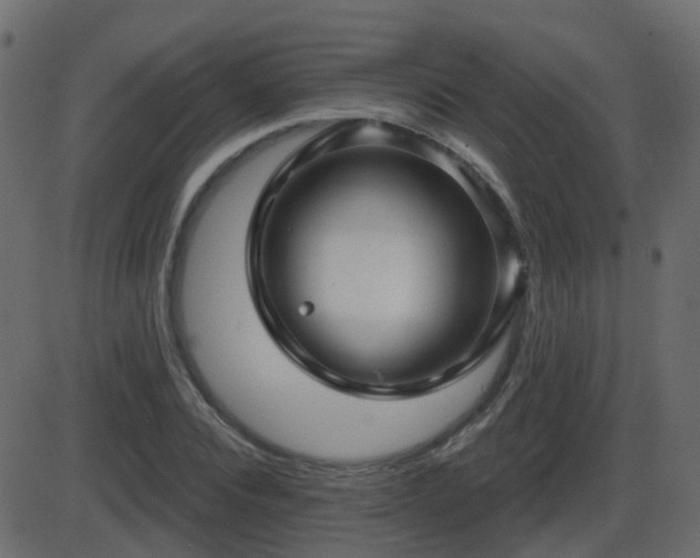 X0000086270928200704051305