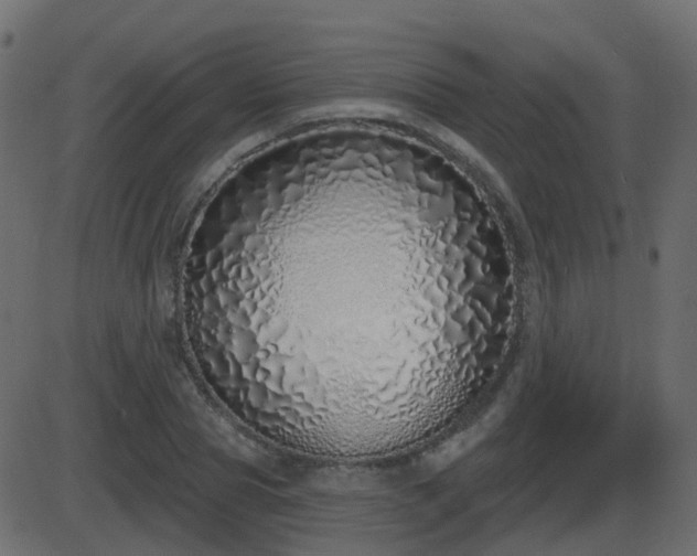 X0000086270929200704051305