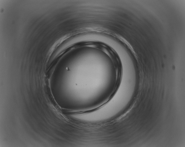 X0000086270930200704051305