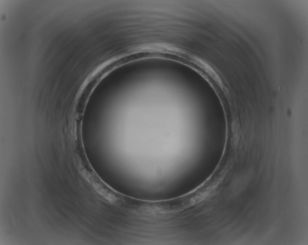 X0000086270931200704051305