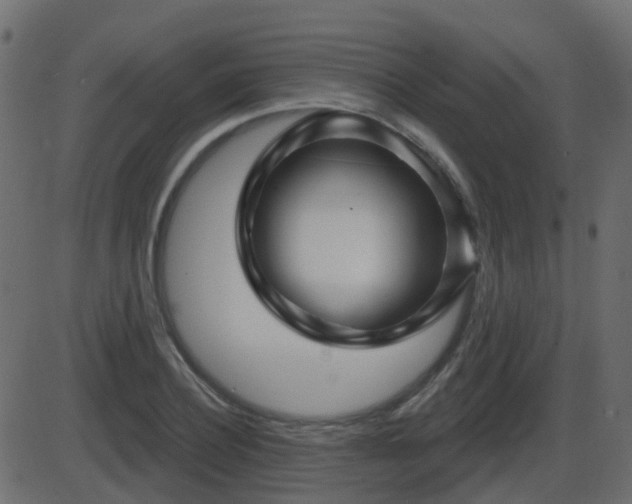 X0000086270932200704051305