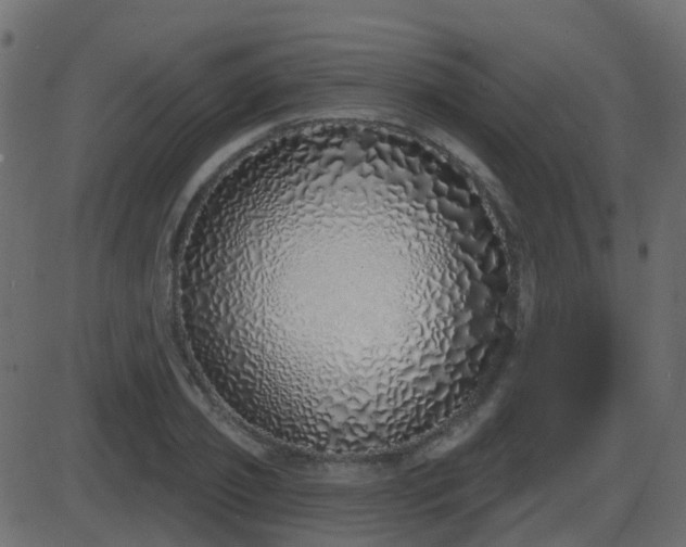 X0000086270933200704051305