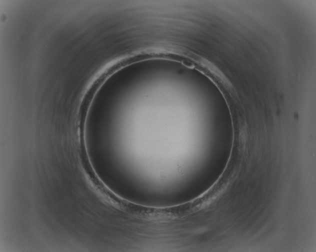 X0000086270934200704051305