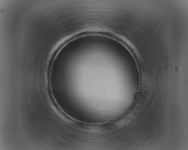 X0000086270935200704051305