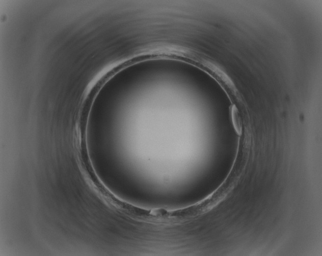 X0000086270936200704051306