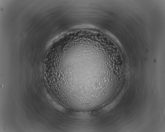 X0000086270937200704051306