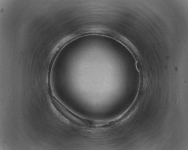 X0000086270938200704051306