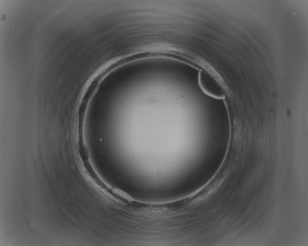 X0000086270939200704051306