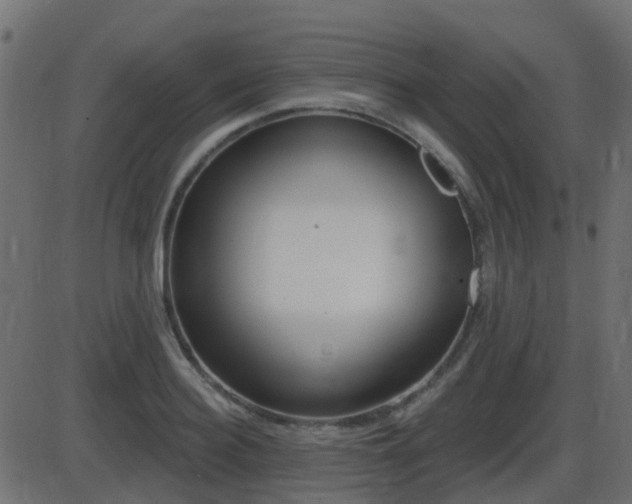 X0000086270940200704051306