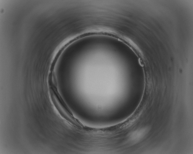 X0000086270943200704051306