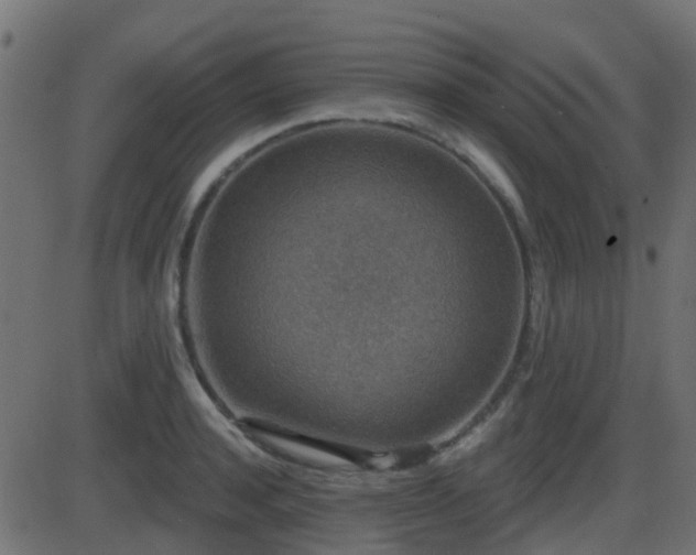 X0000086270944200704051306