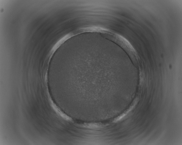 X0000086270946200704051306