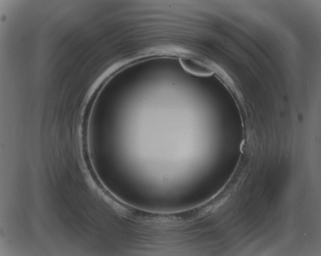 X0000086270947200704051306