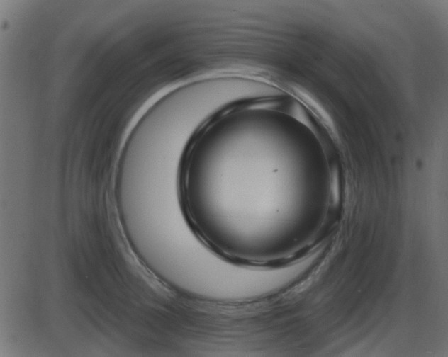 X0000086270948200704051306