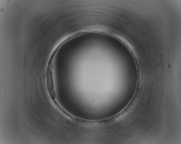 X0000086270949200704051306