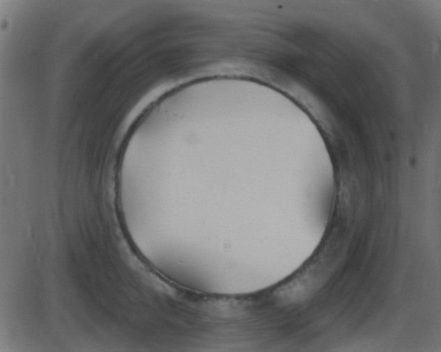 X0000086270950200704051306