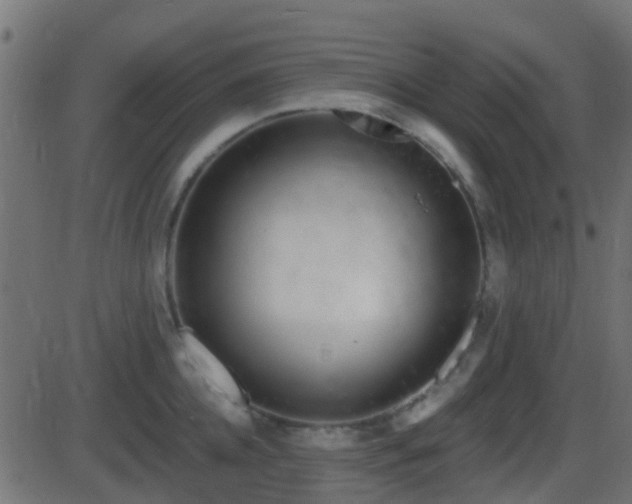 X0000086270952200704051306