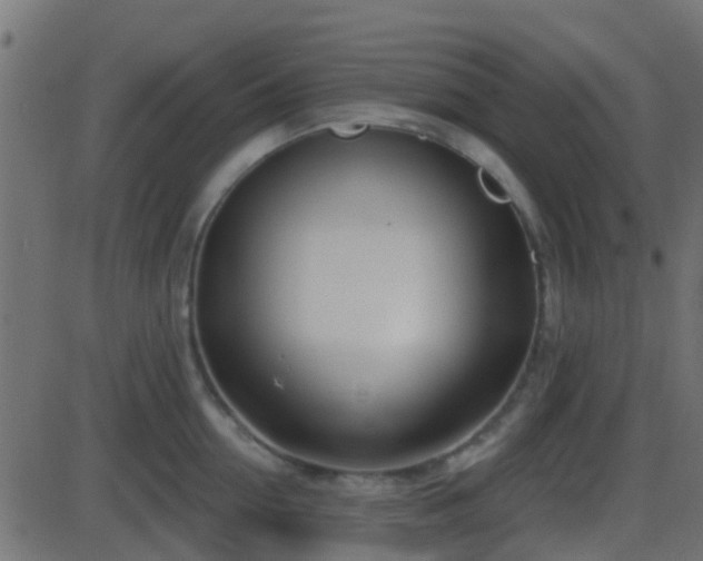 X0000086270954200704051306