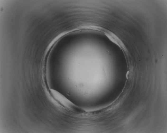 X0000086270955200704051306