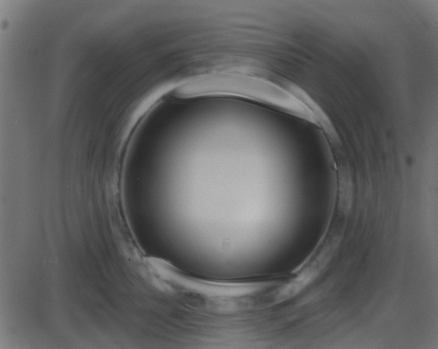 X0000086270956200704051306