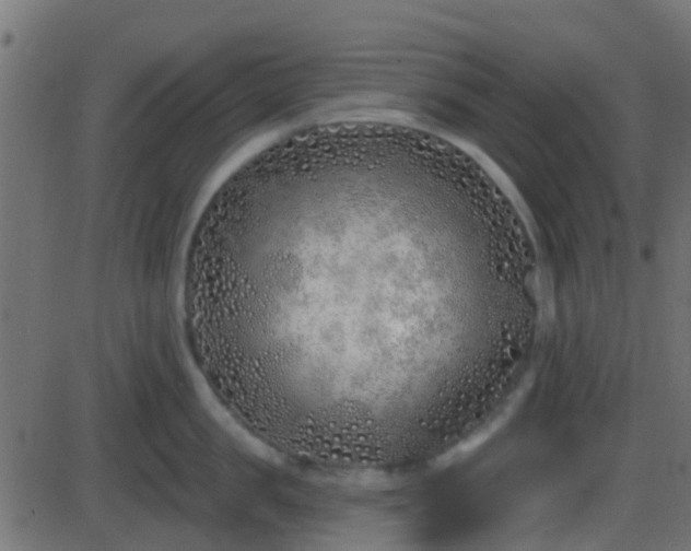 X0000086270957200704051306