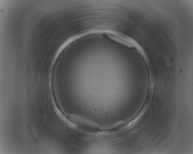 X0000086270958200704051306