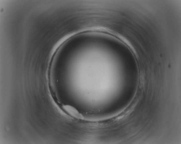 X0000086270959200704051306