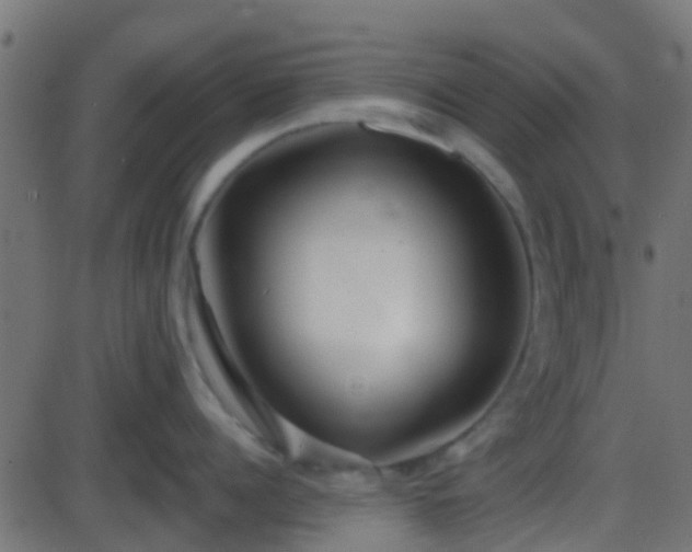 X0000086270960200704051306