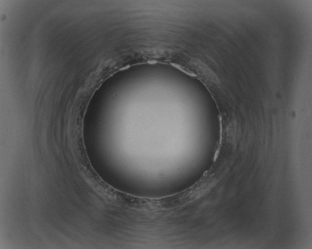 X0000086270961200704051305