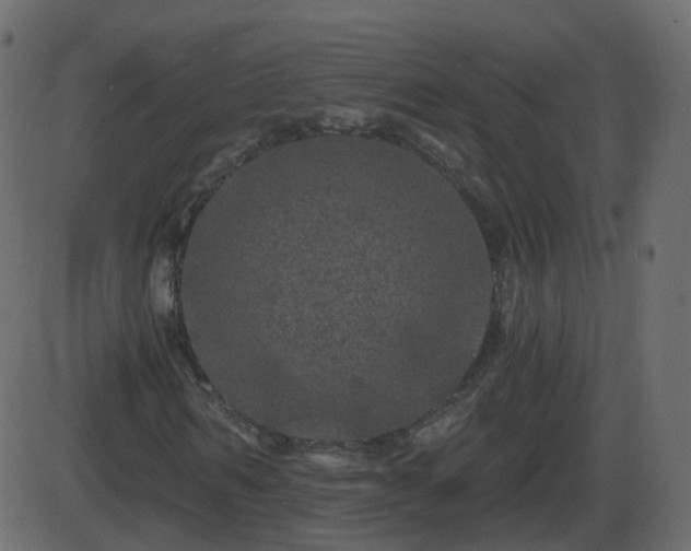 X0000086270962200704051305