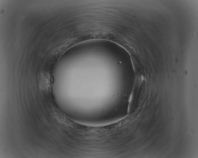 X0000086270963200704051305