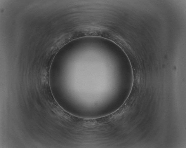 X0000086270964200704051305