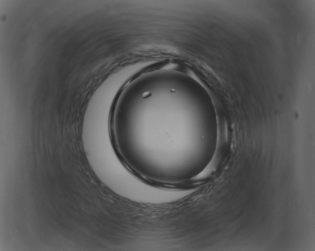 X0000086270965200704051305