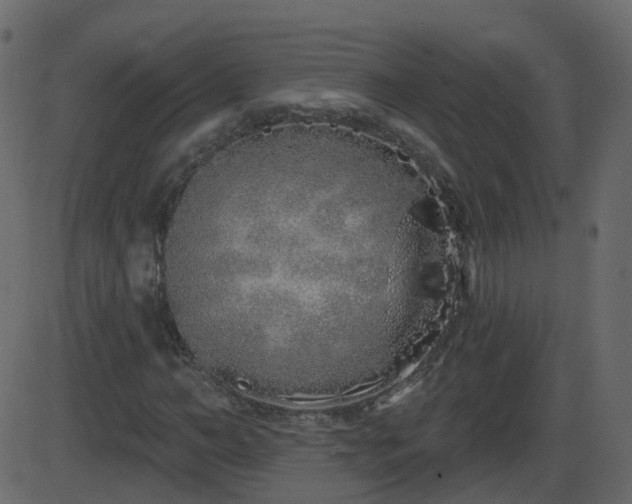 X0000086270966200704051305