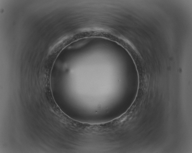 X0000086270967200704051305