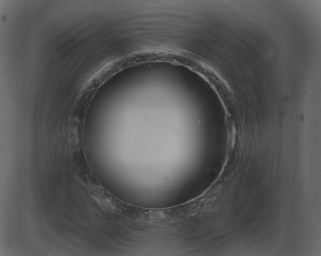 X0000086270968200704051305