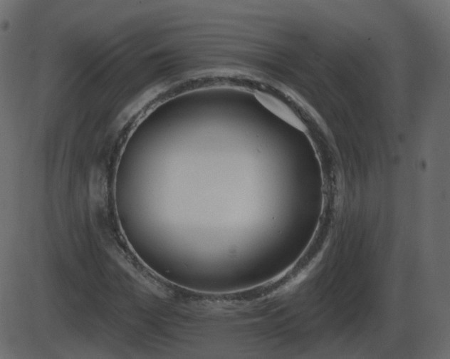 X0000086270969200704051305