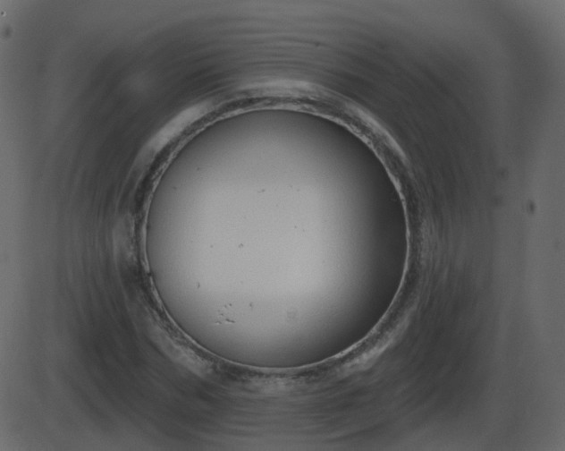 X0000086270970200704051305