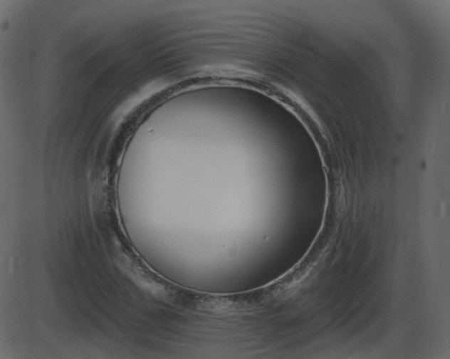 X0000086270971200704051305