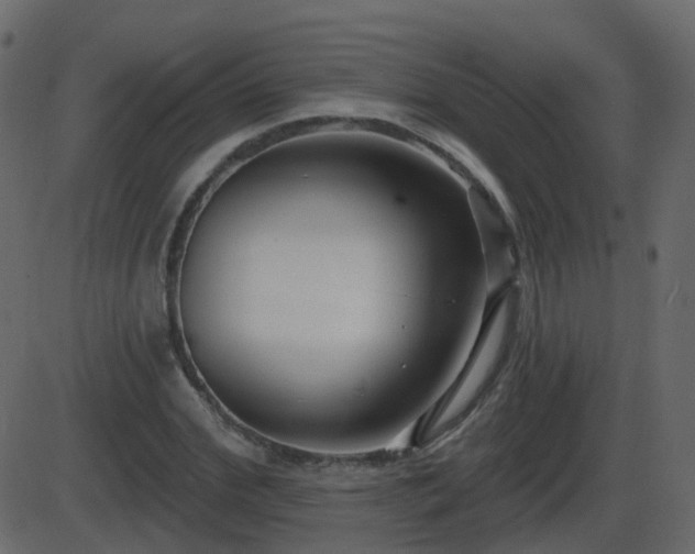 X0000086270972200704051305