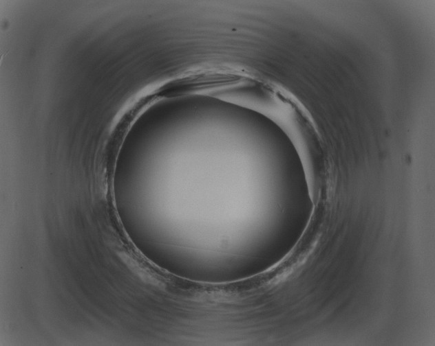 X0000086270973200704051305