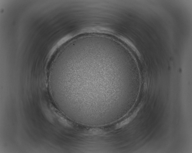 X0000086270974200704051305